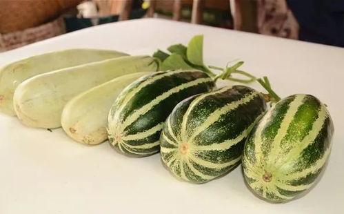 吃瓜的网红叫啥来,揭秘吃瓜网红的爆红之路  第3张