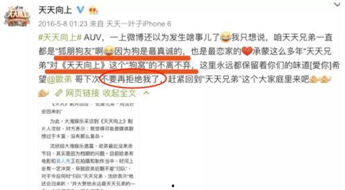 粤语娱乐圈爆料网站大全,一网打尽热门资讯  第1张